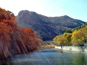 澳门二四六天天彩图库，花都开好了 小说